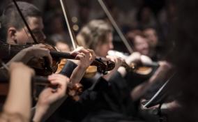 Симфонический оркестр Ленинградской области выступит перед тихвинцами и беженцами с Донбасса