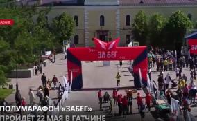 Всероссийский полумарафон «Забег» пройдет 22 мая в Гатчине