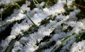 В последнюю пятницу апреля в Ленобласти может выпасть снег