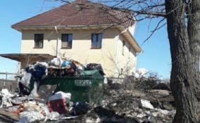 Мусорные баки в Мурино забили строительными отходами