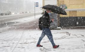 Жителей Петербурга в пятницу вновь ждёт холодная погода и мокрый снег