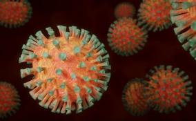 В Ленобласти зарегистрировано 94 случая заболевания коронавирусом