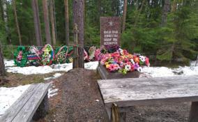 Спасатели Ленобласти привели в порядок захоронения участников Великой Отечественной войны