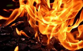 Крупный пожар в Выборгском районе потушили за час