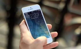 В Петербурге и Ленобласти после сообщения об угрозе теракта проверили 428 объектов