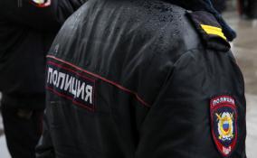 В Петербурге 13-летняя девочка стала жертвой домогательств