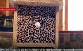 Пчеловоды Ленобласти открывают сезон