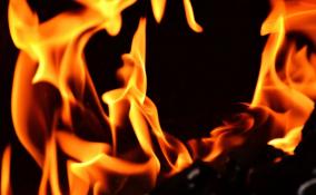 Пожар в Лужском районе тушили почти три часа