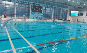 Кириши принимают Кубок России по водному поло среди женщин