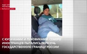 Под Выборгом задержали семерых иностранцев