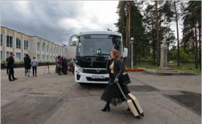 В Ленобласти после двух лет пандемии зафиксировали рост автобусных перевозок