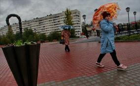 Небольшие дожди и до +13: погода в Ленобласти на День Победы