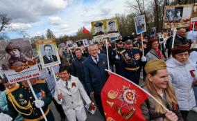 Губернатор Ленобласти вышел на шествие «Бессмертного полка» в Гатчине