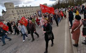 Свыше 250 тысяч жителей Ленобласти вышли на шествие «Бессмертного полка» в День Победы
