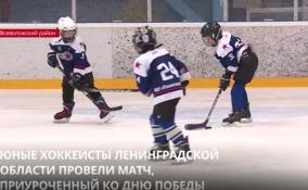 Во Всеволожском районе прошёл Фестиваль детских хоккейных
команд, приуроченный к 77 годовщине Победы