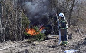 В Ленобласти усиливают пожарную безопасность к летнему сезону