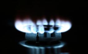 Уже 20 европейских компаний открыли спецсчета для покупки газа из России