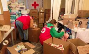 Петербургское отделение Красного Креста с начала марта помогло почти 1000 беженцам
