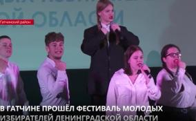 В Гатчине прошёл фестиваль молодых избирателей Ленобласти