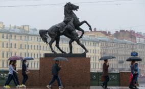 Дожди и до +11: погода в Петербурге на 17 мая