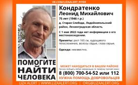 В Лодейнопольском районе пропал 75-летний мужчина