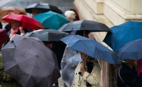 Четверг в Петербурге выдастся прохладным и дождливым