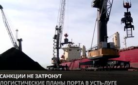 Закрытие европейских портов не помешает российским судам из Усть-Луги доставлять грузы по назначению