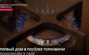 Первому потребителю из посёлка Торковичи подключили газ