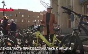 Ленобласть присоединилась к акции «На работу на велосипеде»