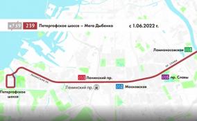 Петербург готовится к очередному этапу транспортной
реформы, которая начнется с 1 июня