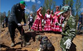 Акция "Всероссийский день посадки леса" в снимках ЛенТВ24