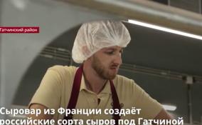 Сыровар из Франции создаёт
российские сорта сыров под Гатчиной