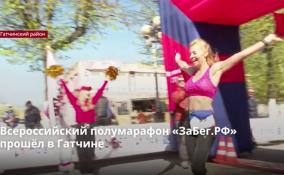 Всероссийский полумарафон «ЗаБег.РФ» прошёл в Гатчине
