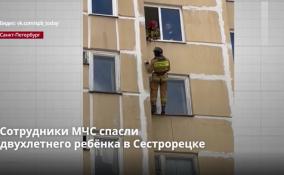 В Сестрорецке сотрудники МЧС спасли запертого в квартире 2-летнего
малыша