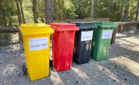 В «Линдуловской роще» установили контейнеры для раздельного сбора мусора