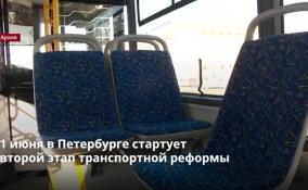 В Петербурге станет больше современных и комфортных автобусов