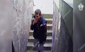 Следком обнародовал видео с камер в детском центре Всеволожска, где жестоко убили женщину