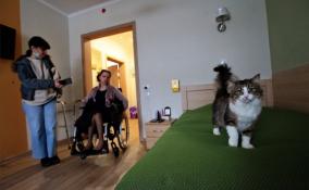 Во Всеволожске построят второй Дом сопровождаемого проживания для людей с инвалидностью