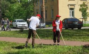 В Ленобласти начали работать летние трудовые молодёжные отряды