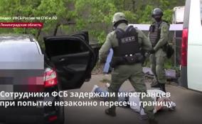 Российские пограничники задержали 14 иностранцев при попытке
незаконно выехать из страны