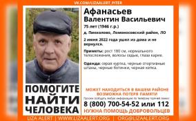 В Ломоносовском районе второй день разыскивают 75-летнего Валентина Афанасьева