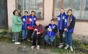 Юные волонтёры Ленобласти помогли семье ветерана Великой Отечественной в уборке травы