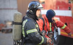 Во время пожара в посёлке Дубровка погиб мужчина, 15 человек — спасены
