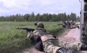 В Ленобласти прошли тактико-специальные учения бойцов спецназа