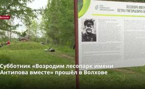 Субботник «Возродим лесопарк имени
Антипова вместе» прошёл в Волхове