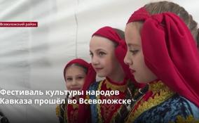 Фестиваль культуры народов Кавказа прошел во Всеволожском парке
«Песчанка»