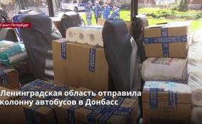 Ленобласть отправила
колонну автобусов в Донбасс