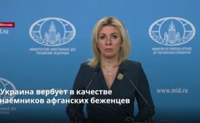 Украина вербует в качестве
наёмников афганских беженцев