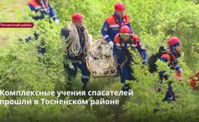 Комплексные учения спасателей
прошли в Тосненском районе