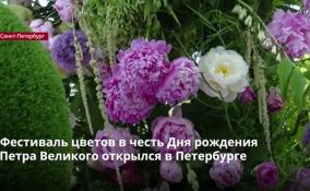 Фестиваль цветов в честь Дня рождения Петра Великого
открылся в Петербурге